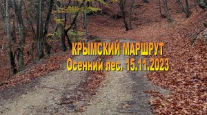 Осенний лес 18.11.2023. Крымский маршрут