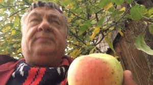 Доброе слово о Синапе Орловском.