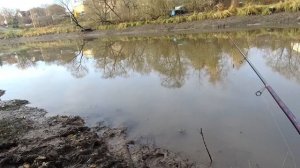 31 октября 2023 года  Ловля осенней плотвы в проводку, на реке Десне!