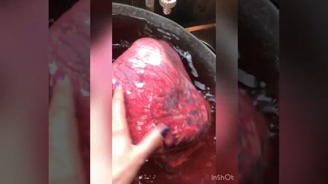 Готовим легкое . Сохатый. Вкусненько . смотреть онлайн