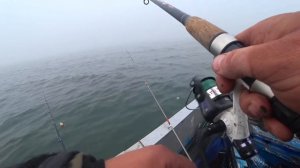 Диковинная рыба САРГАН. Мыс Таран. Рыбалка в Балтийском море.