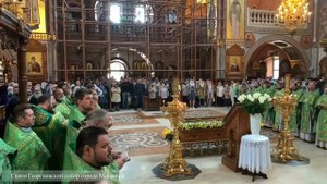 29.05.2020 года. Торжественное соборное Богослужение в день памяти преподобного Илии Макеевского