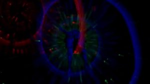 Гражданская Оборона - Ночью