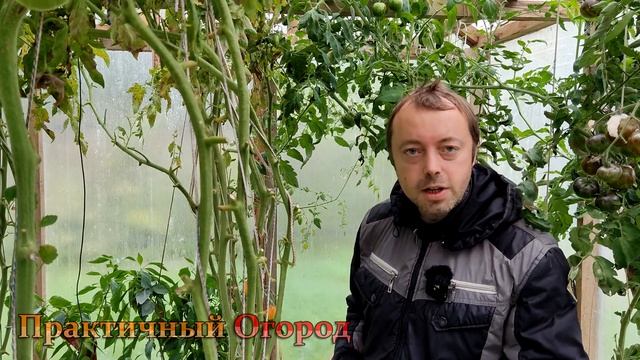 Широкие проходы между гряд оказались узкими! Минимальная ширина проходов должна быть вот такая. смотреть онлайн