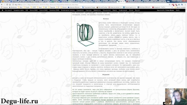 Обязательные аксессуары для дегу смотреть онлайн