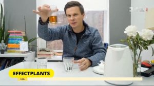 Как правильно заваривать и пить чай пуэр