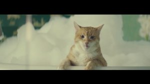Говорящий кот по Бродскому в рекламе ЦИАН