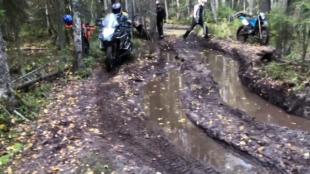 Поющие пески Онеги 2020 смотреть онлайн