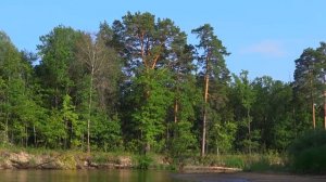 Что ниже Деулино? Сплав по реке Пра. Поход на байдарке по Пре до завала