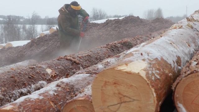 "ГИДРООКОРКА" бревна для сруба. Обработка бревен гидроударом на производственной  площадке.