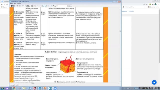 Вебинар базового курса "Гладкая мускулатура + Старая мезодерма"