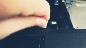 To interrupt normal startup press the enter button", но компьютер игнорирует нажатие enter. Lenovo