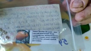 Томат Ананас Бильбао .