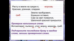 Урок русского языка.Звонкие и глухие согласные на конце слова