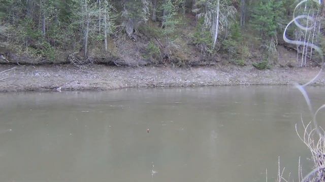 Рыбалка в тайге на хариуса 9 день из 10 дней рыбалка охота тайга лес природа поход выживание в лес смотреть онлайн