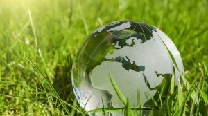 Экология Экосистем (часть 2)