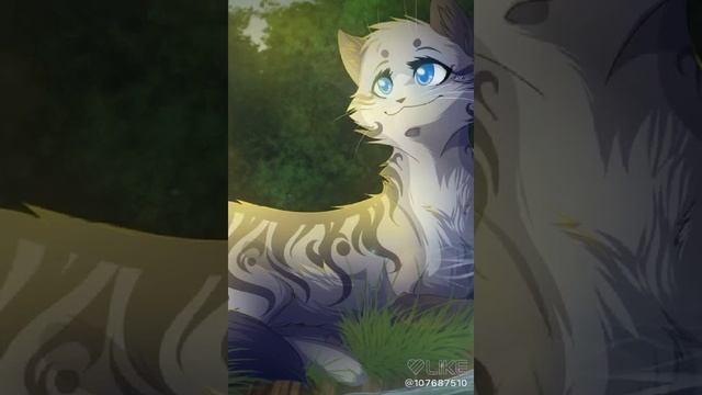 Коти воители Синегласка смотреть онлайн