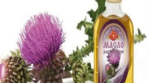 Расторопша для похудения