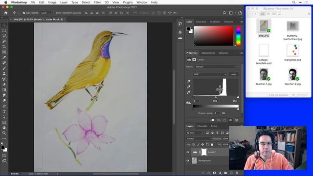 How to Edit Tonal Range with Levels Adjustment Layers in Photoshop смотреть онлайн