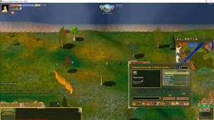 Haven and Hearth. Часть 2. Интерфейс и что где находится.