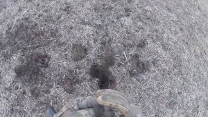 Коп на мусорке! Эквинокс рулит!