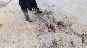 зимани 372 про в -30