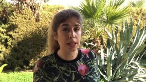 ТОП новогодних и рождественских английских фильмов.