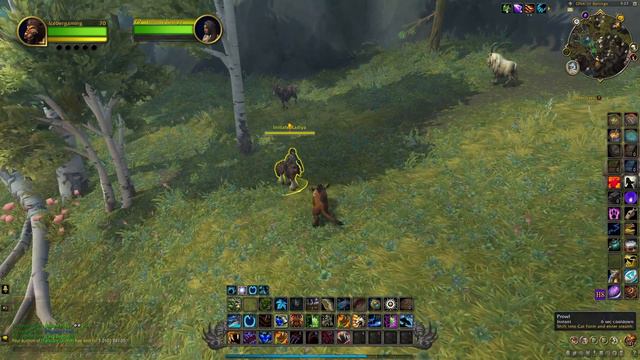 How to Get Lizi's Reins- World of Warcraft Dragonflight Guide смотреть онлайн