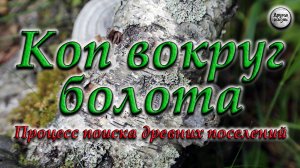 Коп вокруг болота. Процесс поиска древних поселений.