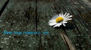 С Днем Рождения, любимая ЖЕНА! Лучшее видео поздравление
