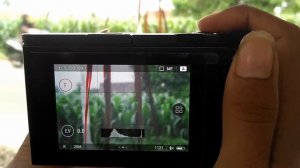 Peaking Focus Test Yi M1 Mirrorless Kamera