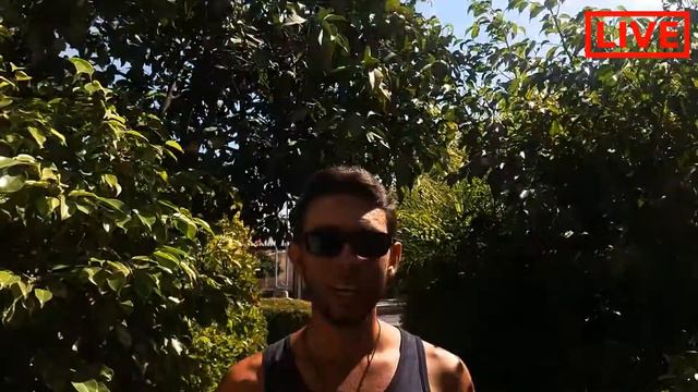 Куда пропал КиноСоветник? ОБРАЩЕНИЕ к зрителям + АНОНС смотреть онлайн