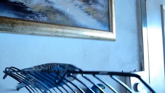 Piet en Frits смотреть онлайн