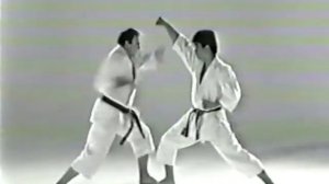 KARATE 2022 - Sensei Keinosuke Enoeda the Shotokan Tiger, 榎枝 慶之輔