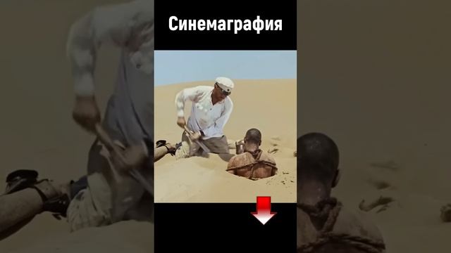 Синемаграфия Сухов ? ✂️ ? #SHORTS