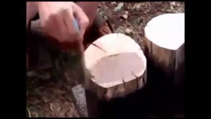 Садовые дорожки варианты