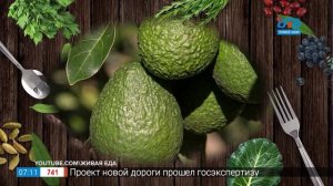 Вкусные истории – запечённая рыба с авокадо