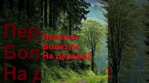 # перенос болезни на дерево 2#