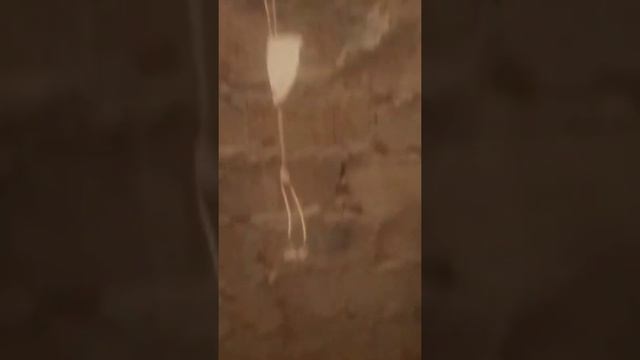 демонтаж перегородки ванны и двери смотреть онлайн