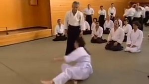 AIKIDO - TAMURA SHIHAN - FIA, TANABE 2008