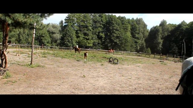 как мы провели день на конюшне :D смотреть онлайн