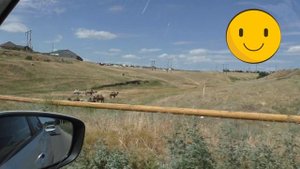 Из Волгограда в Пятигорск через Элисту - на машине