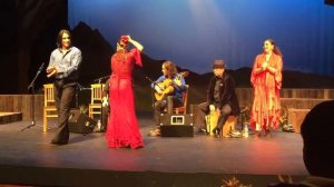 Flamenco Fiesta in Gilroy Nov 13, 2014 - Sevillanas