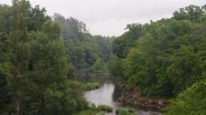 Осень, клип на стихи Есенина