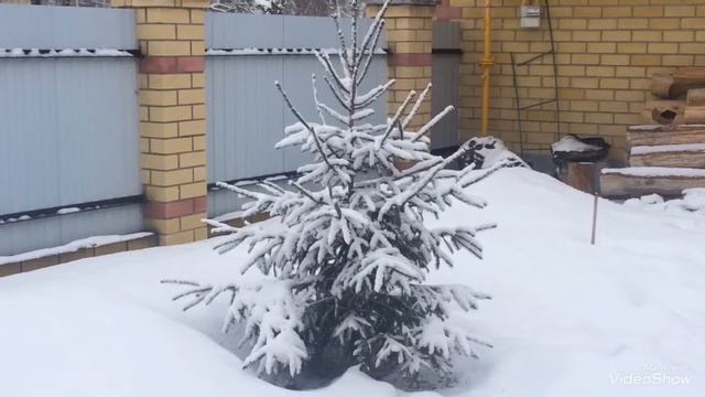 Зима пришла! Ау! Ты где Весна!