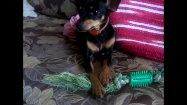 Открытие канала! смотреть онлайн