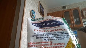 Фитоспорин -М для орхидей, как развести пасту