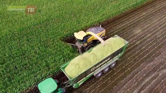 Защита почв от загрязнения и ликвидация голода смотреть онлайн