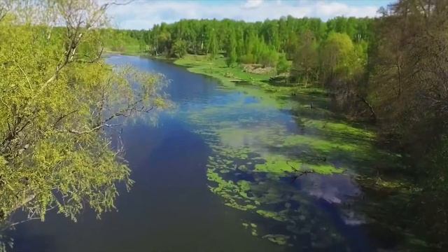 Дубрава Удач смотреть онлайн