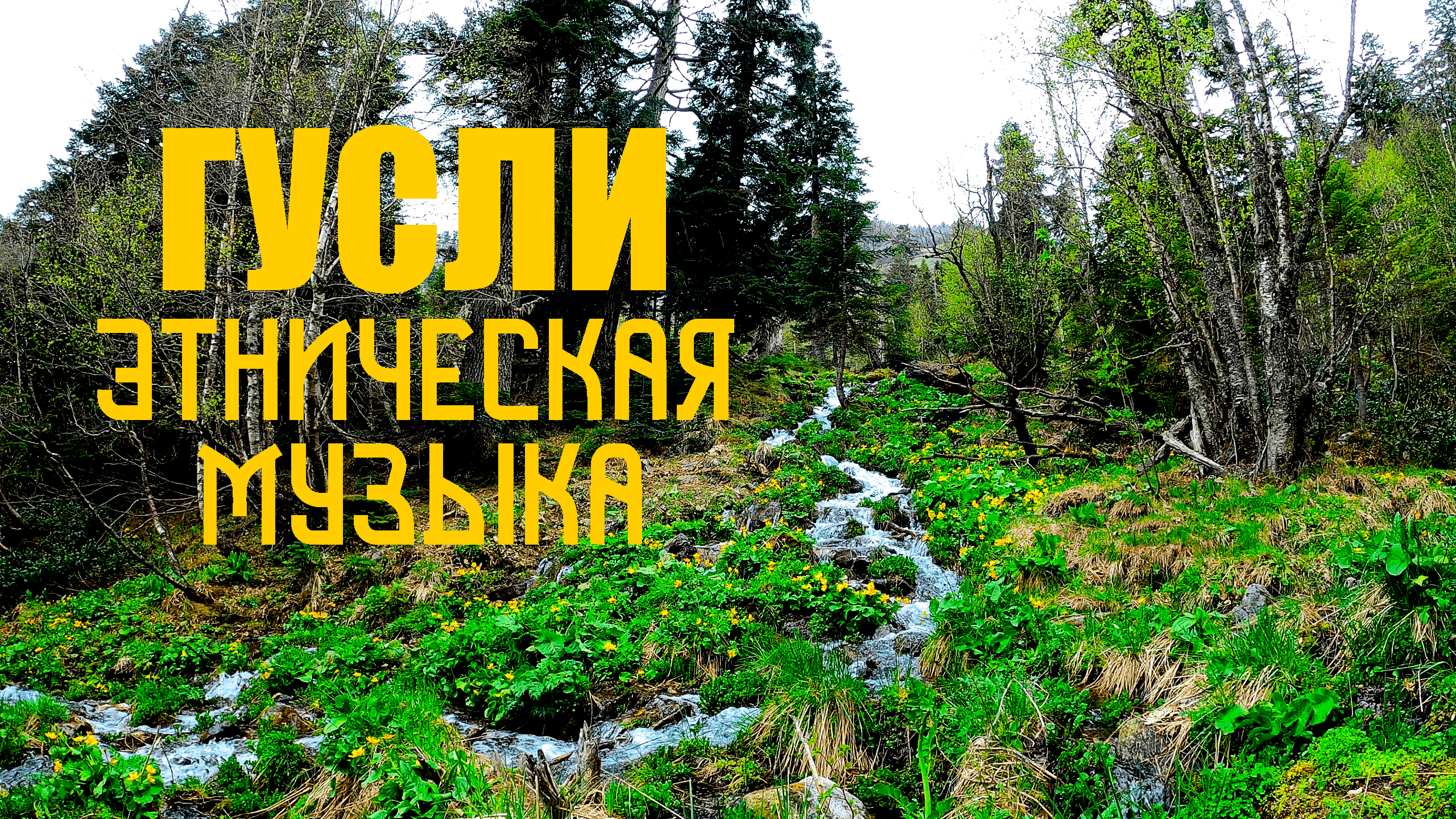 Гусли / Пение Птиц и Звук Ручья / Этническая Душевная Музыка